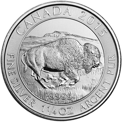 Canadian Bison