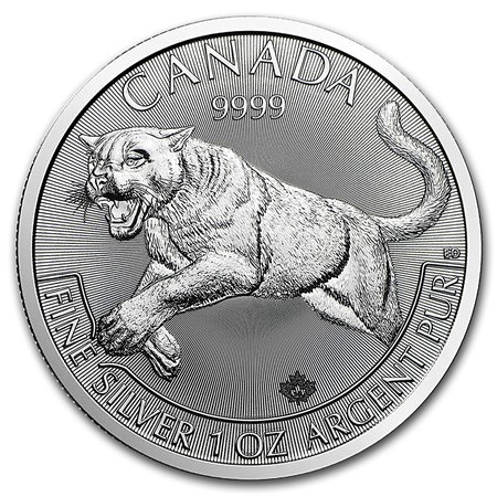 Predators-Cougar-1oz-2016 - voorkant