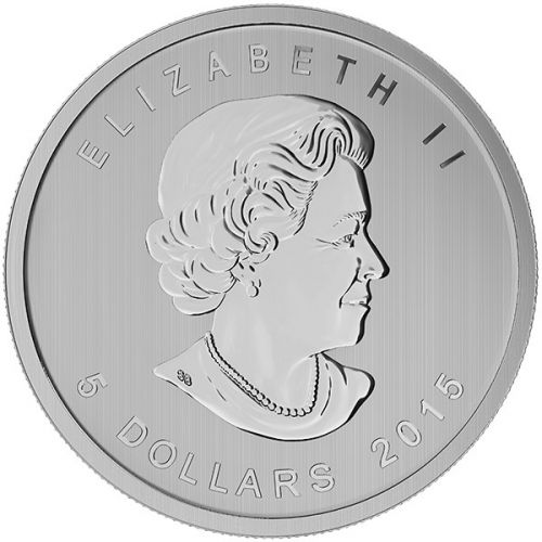 Redtailedhawk2015metjaartal.jpg BoPRed-tailed-hawk-2015 - achterkant