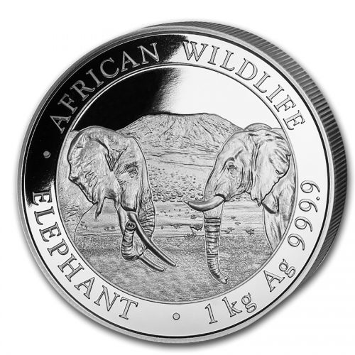 Somalische olifant 2020