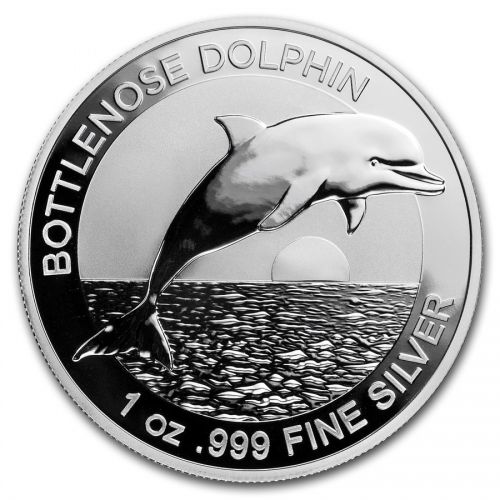 bottlenose dolphin
