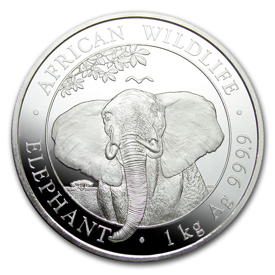 Somalische Olifant 1 kg 2021 reverse 101munen