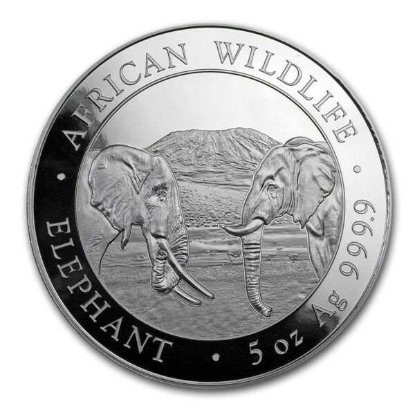 somalische olifant 5 oz 2020