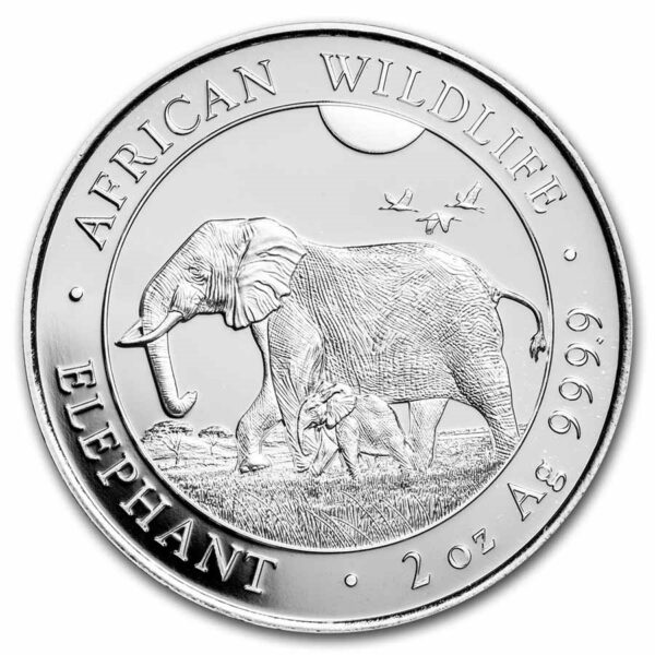 somalische olifant 2 oz 2022