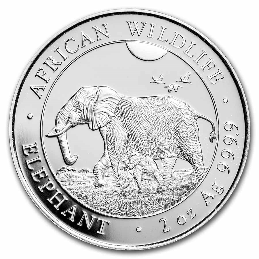 Somalische Olifant 2 oz 2022 voorkant 101munten somalische olifant 2 oz 2022