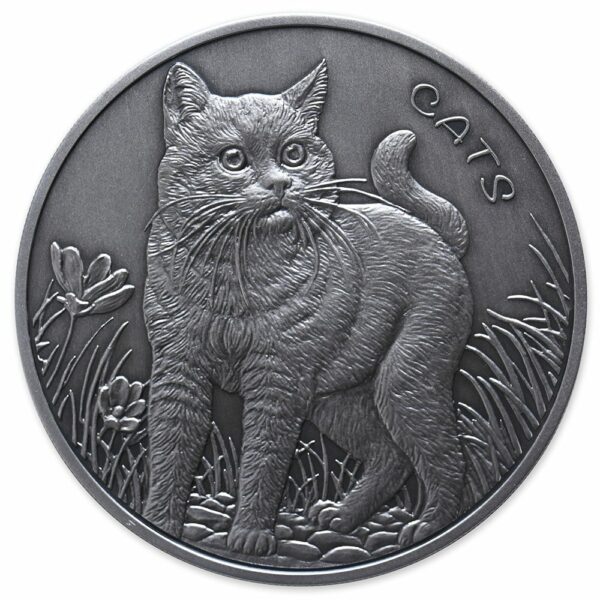 fiji cats 5 oz 2022