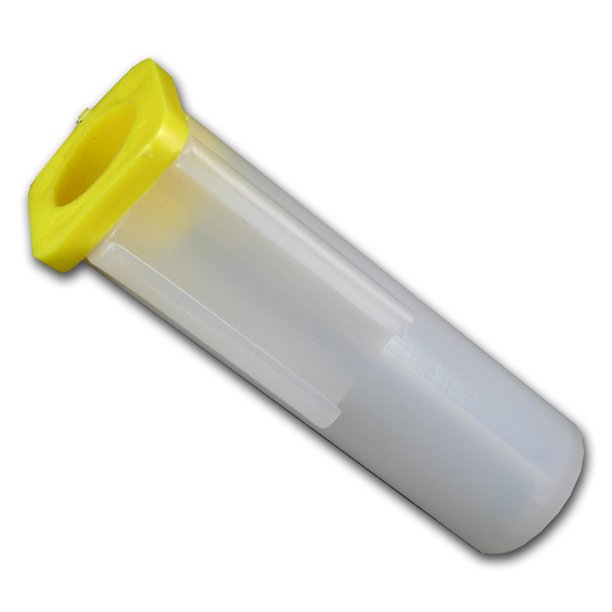 Tube Krugerrand Gold 0.10 50pieces 101munten