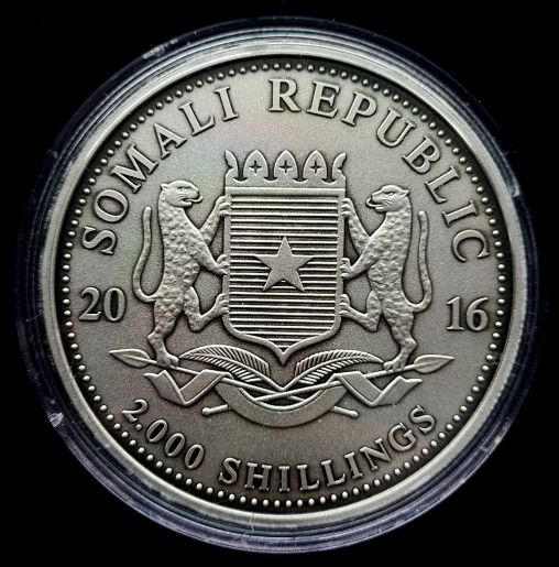 Som.olifant 101muntennl AF back