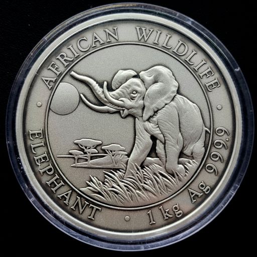 somalische olifant 1 kg 2016