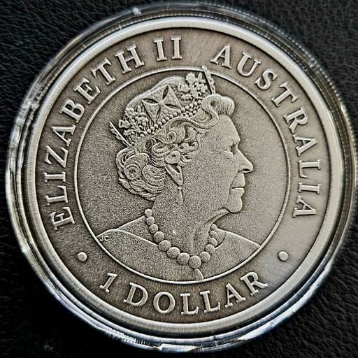 superpit2022AF 101muntennl back