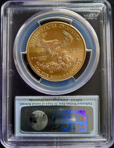 AE 2015 PCGS MS70 FS 101muntennl back