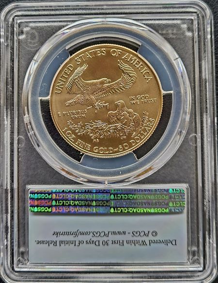 AE 2021 PGCS MS70 FS 101muntennl back