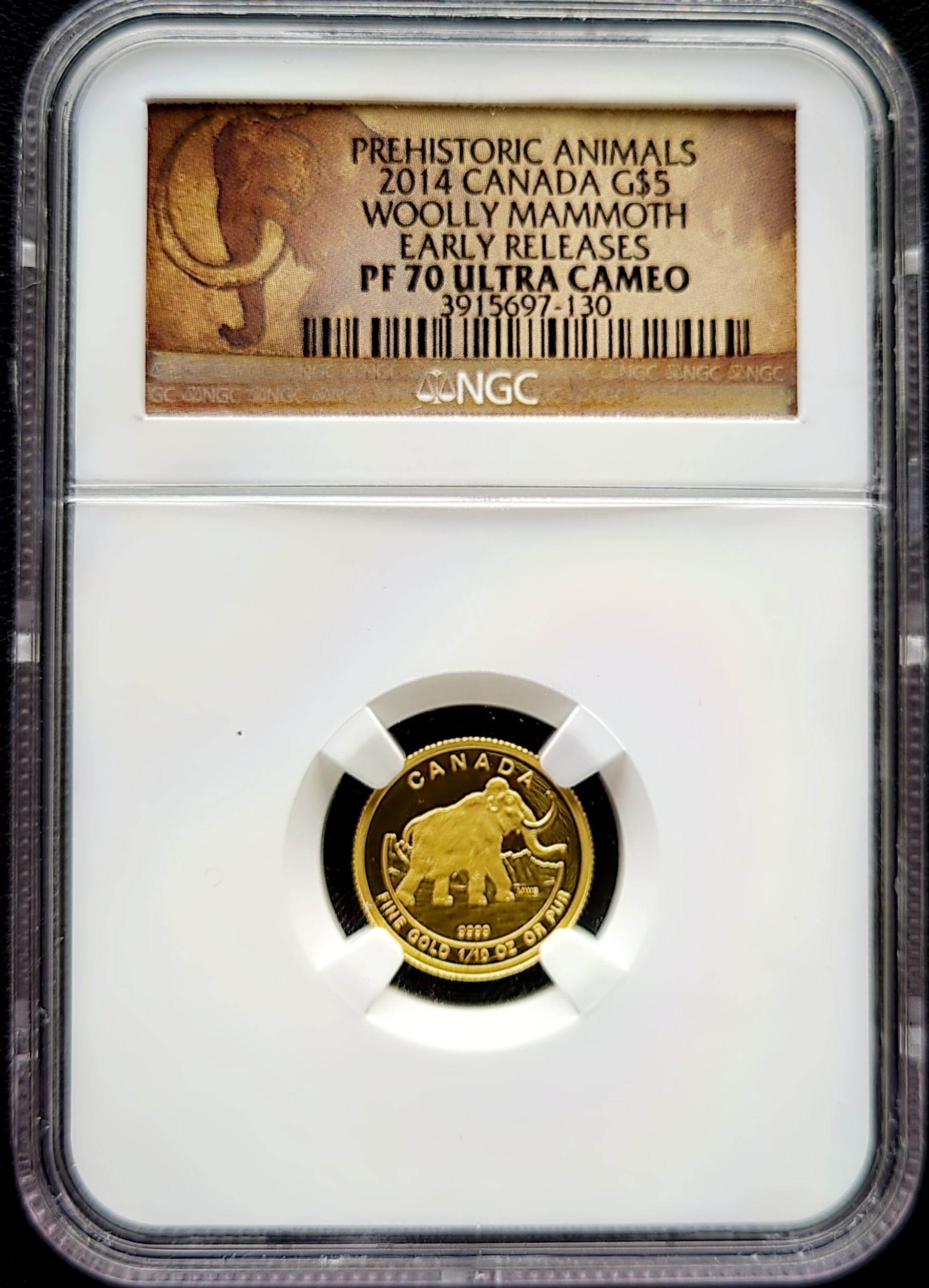 Gouden Canada Woolly Mammoth 0.1 oz 2014 PF70 UC ER NGC voorkant 101munten Woolly Mammoth 1/10 oz 2014