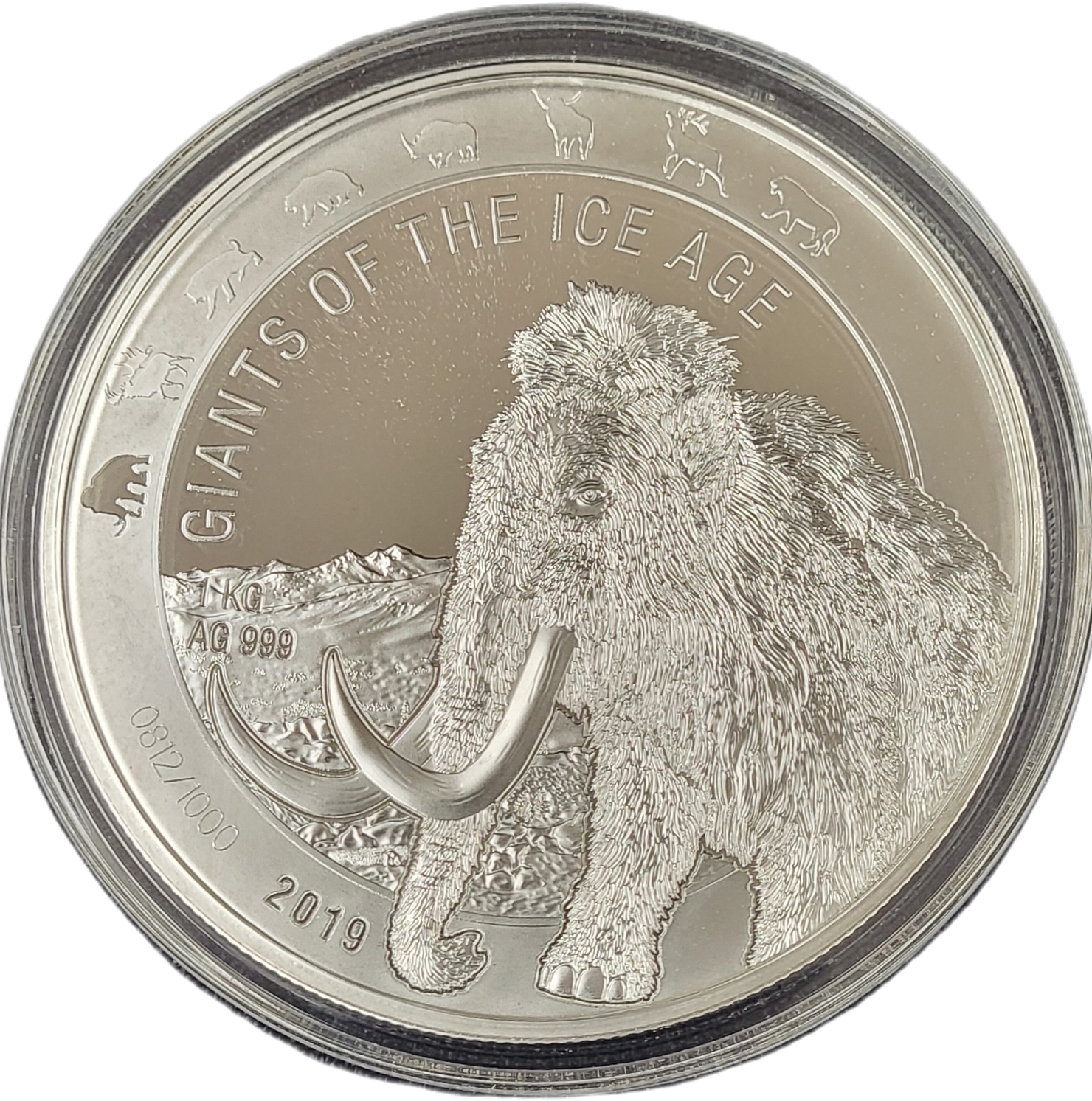 Ghana Giants of the Ice Age 1 kg 2019 Woolley Mammoth-front woolly mammoth