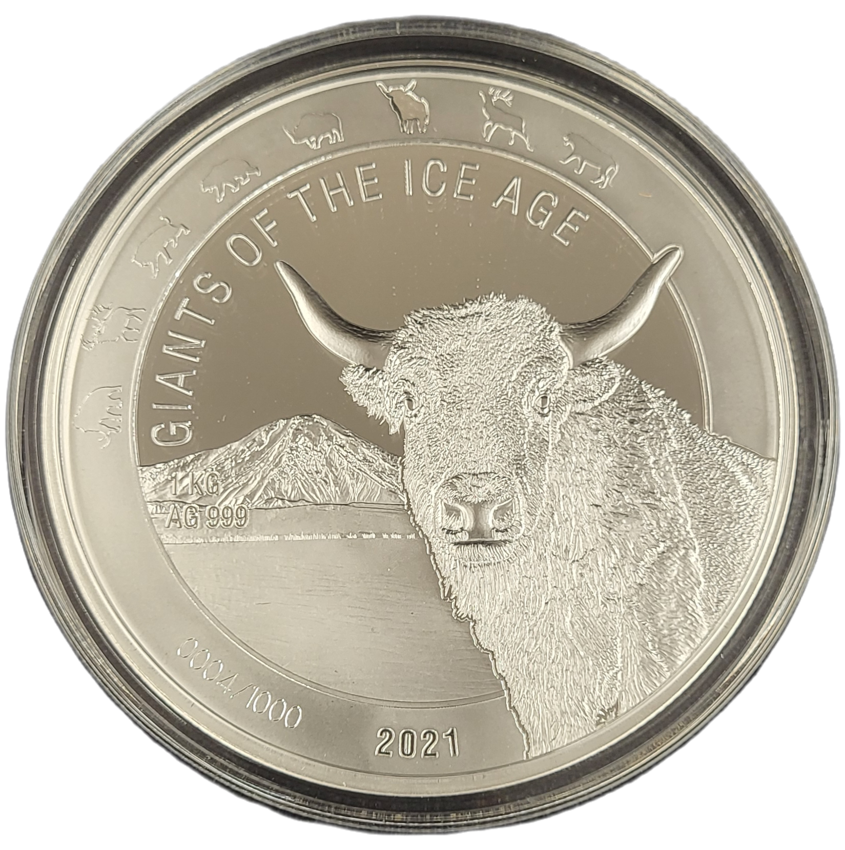 Ghana Giants of the Ice Age 1 kg 2021 Auroch-front Auroch