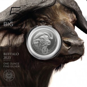 Big Five Buffalo 1 oz 2023-blister