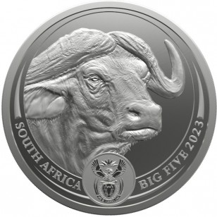 Big Five Buffalo 1 oz 2023