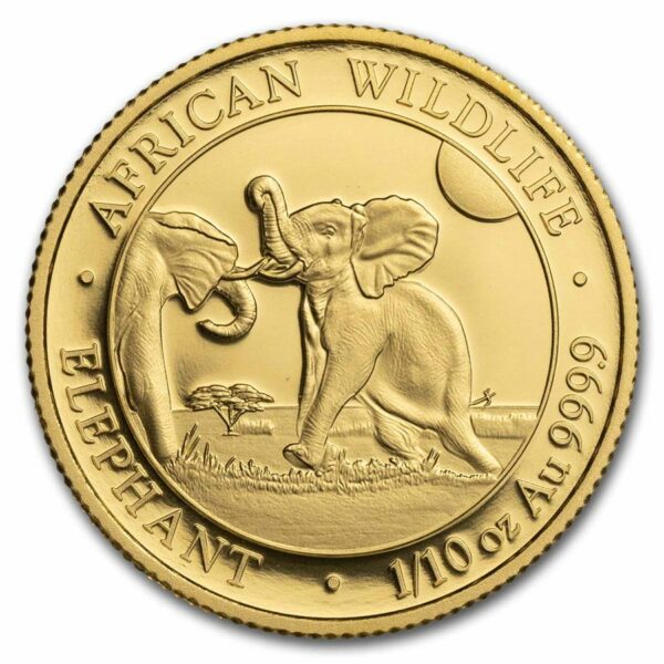 Gouden Somalische Olifant 1/10 oz 2024