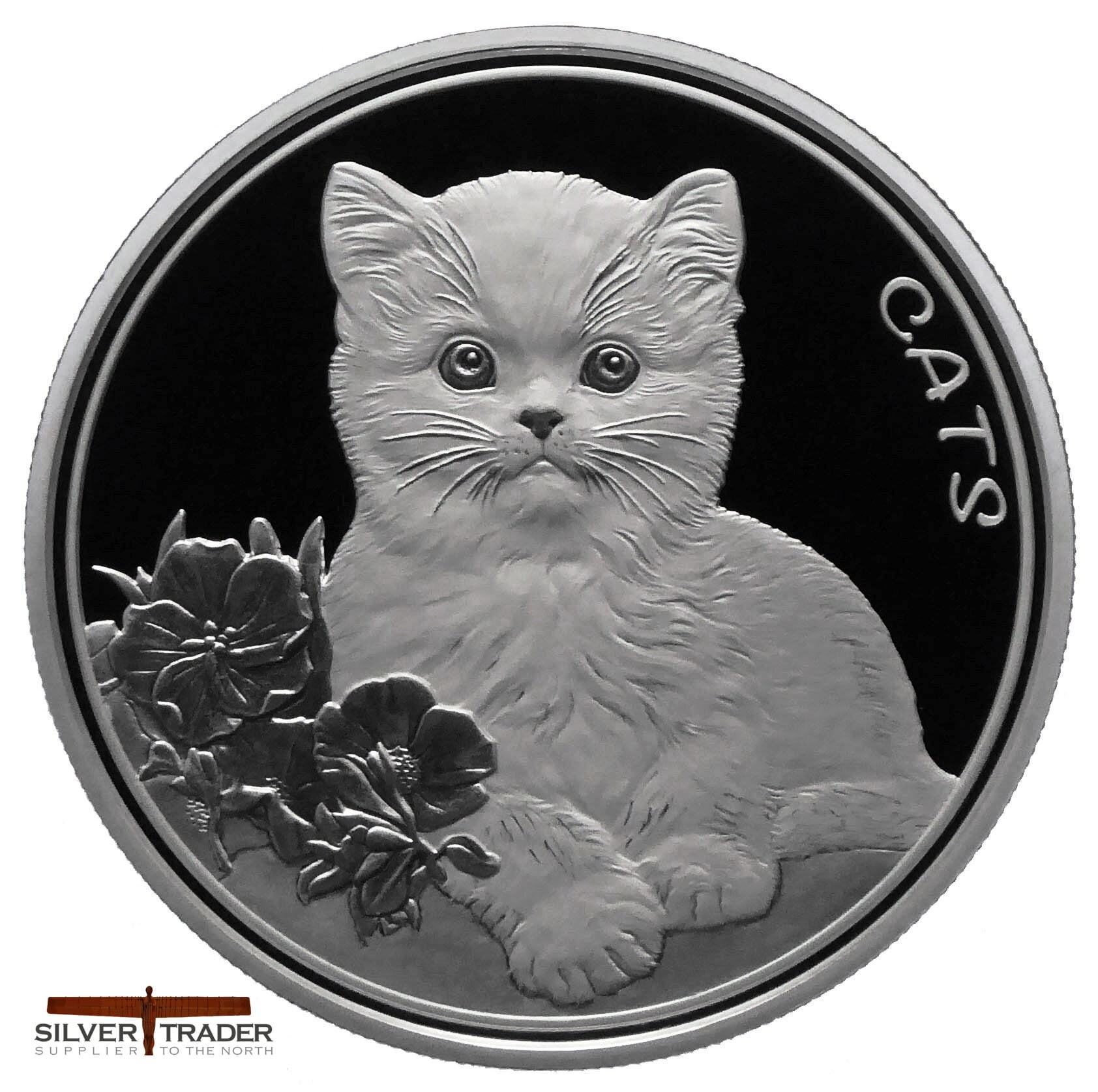Fiji Cats 5 oz 2023 prooflike front 101munten Fiji Cats 5 oz 2023 Prooflike