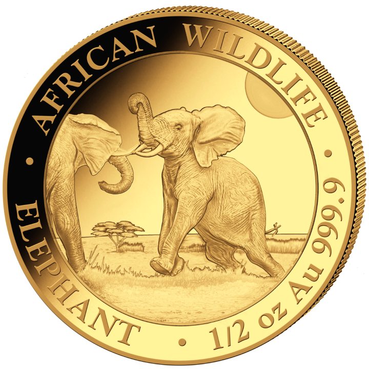 Somalische Olifant half oz 2024 -front Somalische Olifant 1/2 oz 2024