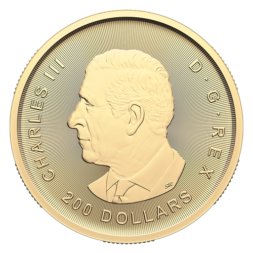 from door to refined gold -back klondike gold rush