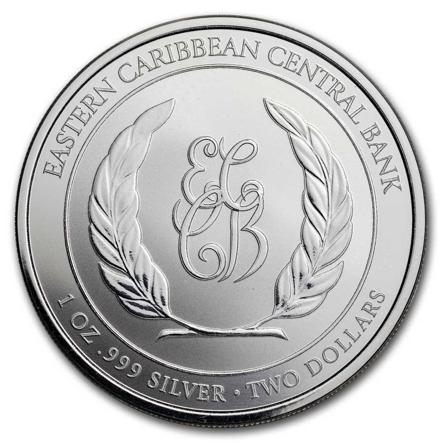 humpback whale 2023-back