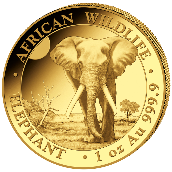 som.olifant 1 oz goud 2025 -front Gouden Somalische Olifant 1 oz 2025