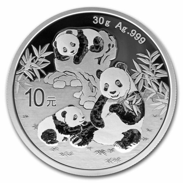 Chinese Panda 30 gram 2025