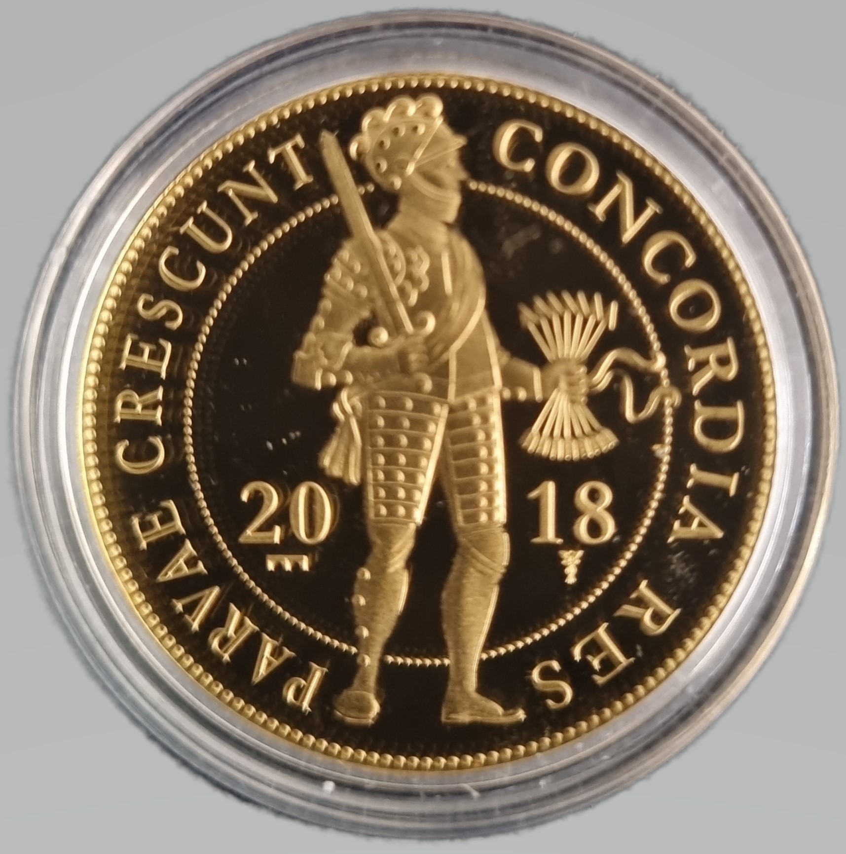 Gouden dubbele dukaat 2018 front 101munten Dubbele Gouden Dukaat 2018