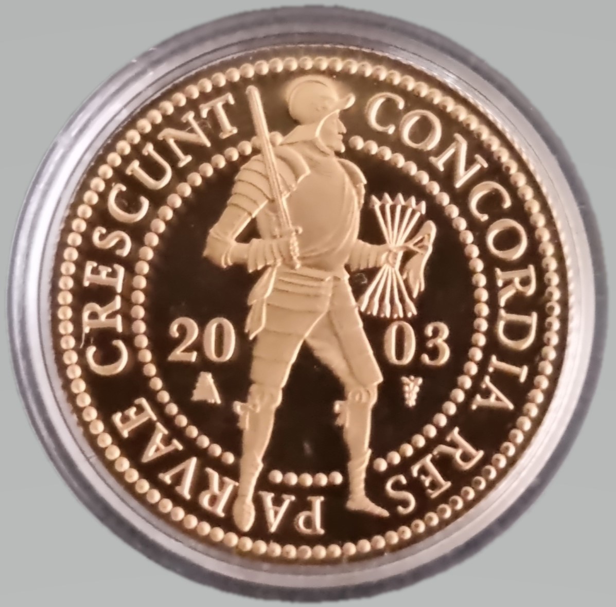 Gouden dubbele dukaat 2003 front 101munten Dubbele Gouden Dukaat 2003