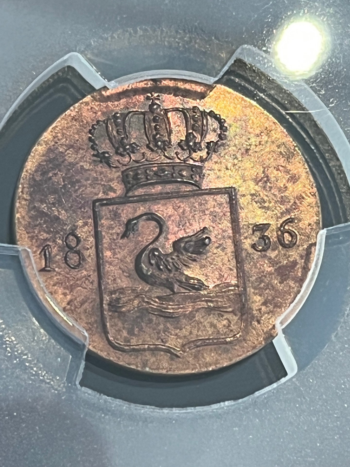 Zwanenduit 1836 PROOF.1
