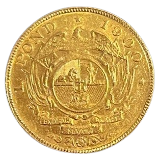 Gouden_Kruger_1_pond-removebg-preview Gouden Kruger 1 Pond Zuid-Afrika (Diverse Jaren)